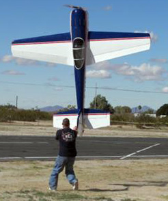 large scale electric rc planes